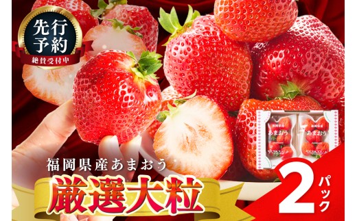 【2027年先行予約】厳選大粒あまおう(約250-270gx2パック)【044-0085】