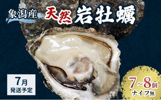 
                  【 先行予約 7月上旬～下旬発送予定】象潟産 天然岩牡蠣 7～8個 ナイフ無【 牡蠣 夏牡蠣 かき 象潟 生食可 魚介類 海鮮 海産物 海の幸 】 さとう鮮魚店
                