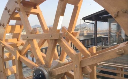 【12回定期便】令和7年産熟成すいしゃ米佐賀県産さがびより10kg NAO044 