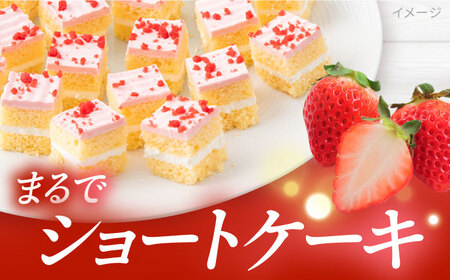 ケーキアソートセット2種 (チョコ・いちご） 【ファミール製菓株式会社】[AKCI010]