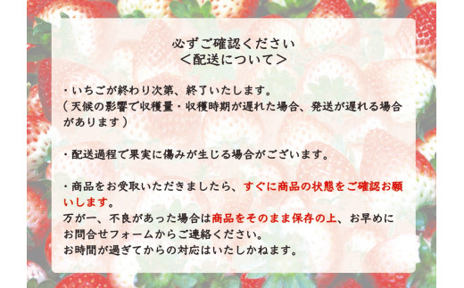 [先行予約][2026年12月中旬より順次発送予定・じゅわっと溢れだす] とちあいか＆スカイベリー食べ比べセット600g ｜いちご イチゴ 苺 フルーツ 果物 産地直送 栃木県産 矢板市産 先行予約 