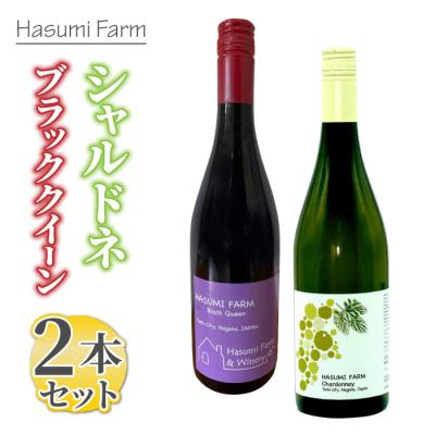 ふるさと納税 東御市 のらのらふぁーむ 赤白ワイン2本セット(シャルドネ・ブラッククイーン)