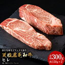 【ふるさと納税】 黒毛和牛 天塩和牛 ヒレ 約150g×2枚 (計約300g) ＜早坂ファーム＞肉 牛肉 フィレ ステーキ 北海道産 国産