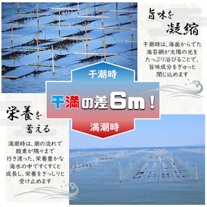 《 訳あり品 》 九州有明海産海苔 半切100枚 （ 100枚 × 1 ） | 魚貝類 海産物 海苔 のり 焼海苔 焼き海苔 半切り 熊本県 玉名市