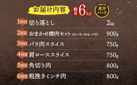 【6回定期便】天然イノシシ肉 バラエティ総量6.0kg / ジビエ 猪肉 いのしし肉 ジビエ肉 肉じゃが用肉 イノシシ いのしし焼肉 長崎ジビエ 猪 ぼたん鍋 鍋肉 猪鍋 ジビエ鍋 ジビエ焼肉 ジビエ