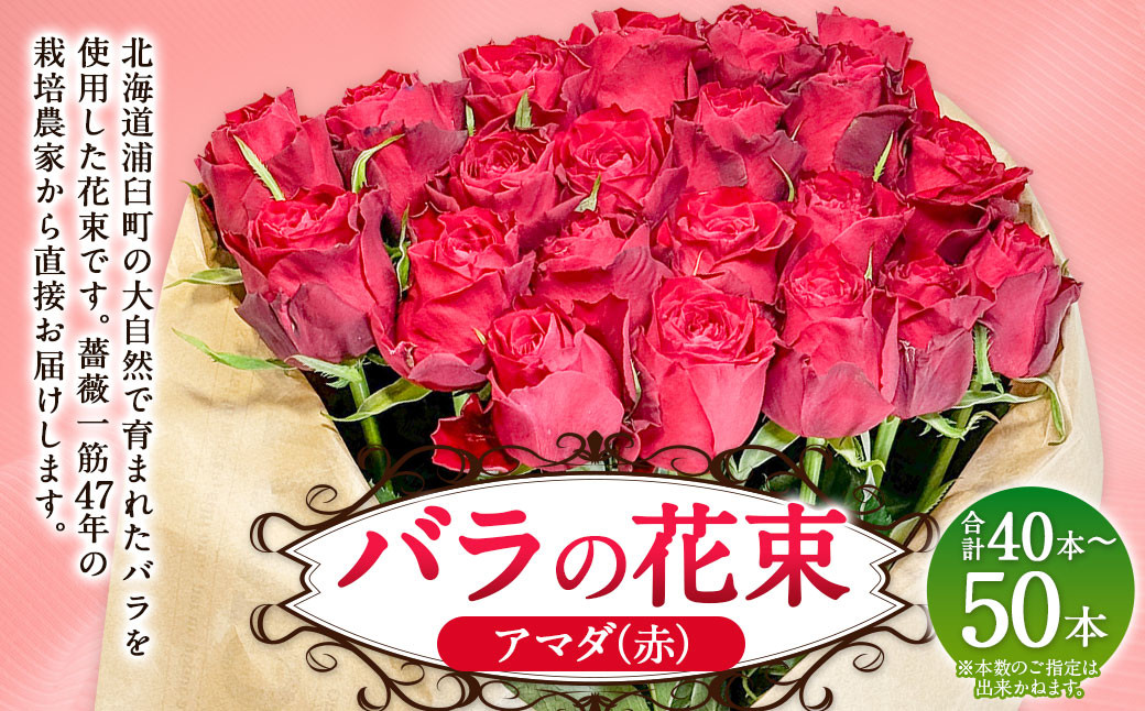 
                  バラの花束 アマダ（赤）（40‐50本）| 花 バラ 薔薇 ローズ 生花 花束 ブーケ 赤 贈り物 プレゼント ギフト【2026年11月下旬頃迄発送予定】
                