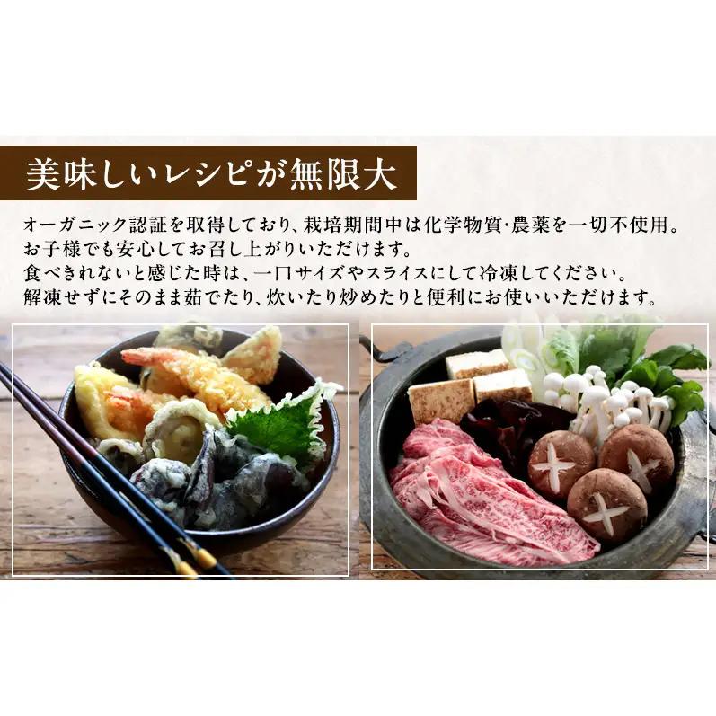 【 産地直送 】 有機JAS 生椎茸 800g ＆ 生きくらげ 200g 定期便 3ヶ月 オーガニック しいたけ 椎茸 きくらげ きのこ 野菜 岡山県 玉野市 栽培期間中化学肥料不使用 栽培期間中農薬