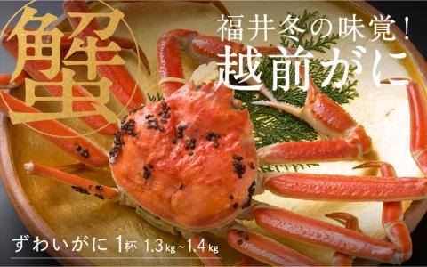 【特別価格期間延長！】【産地直送】福井冬の味覚！越前がに 1杯 (1.3～1.4kg)