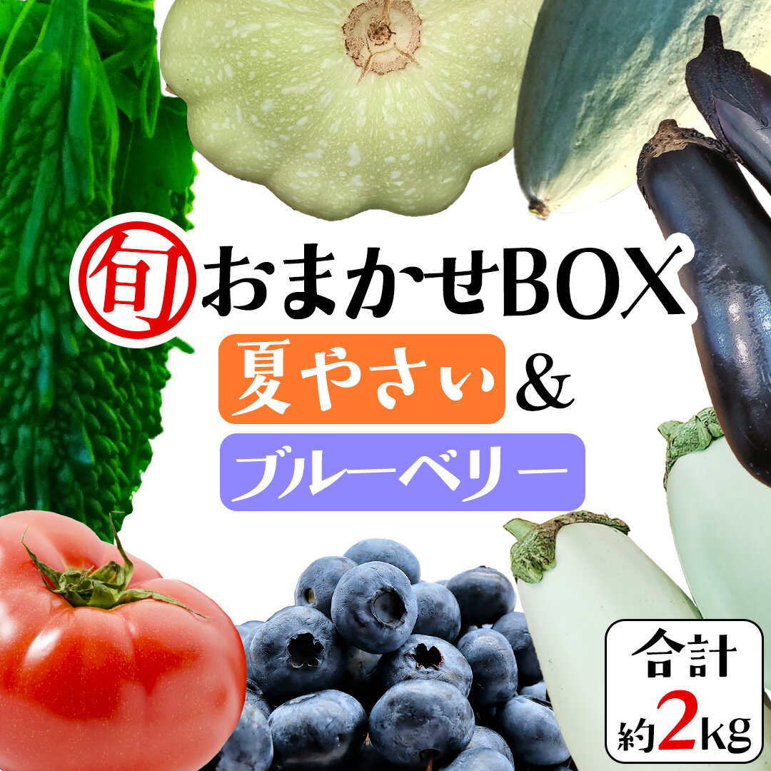 【ふるさと納税】夏野菜 と ブルーベリー の おまかせBOX 計 約2kg ｜ 野菜 果実 果物 おまかせ 旬 新鮮 大容量 くだもの フルーツ おやつ ブルーベリー ベリー ジャム 小分け セット 詰め合わせ 詰合せ 夏バテ