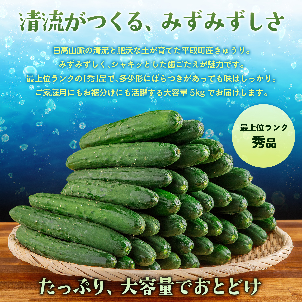 【先行予約/8月以降発送】【家庭用】【北海道平取町産】秀品 キュウリ１箱Мサイズ５kg BRTO004