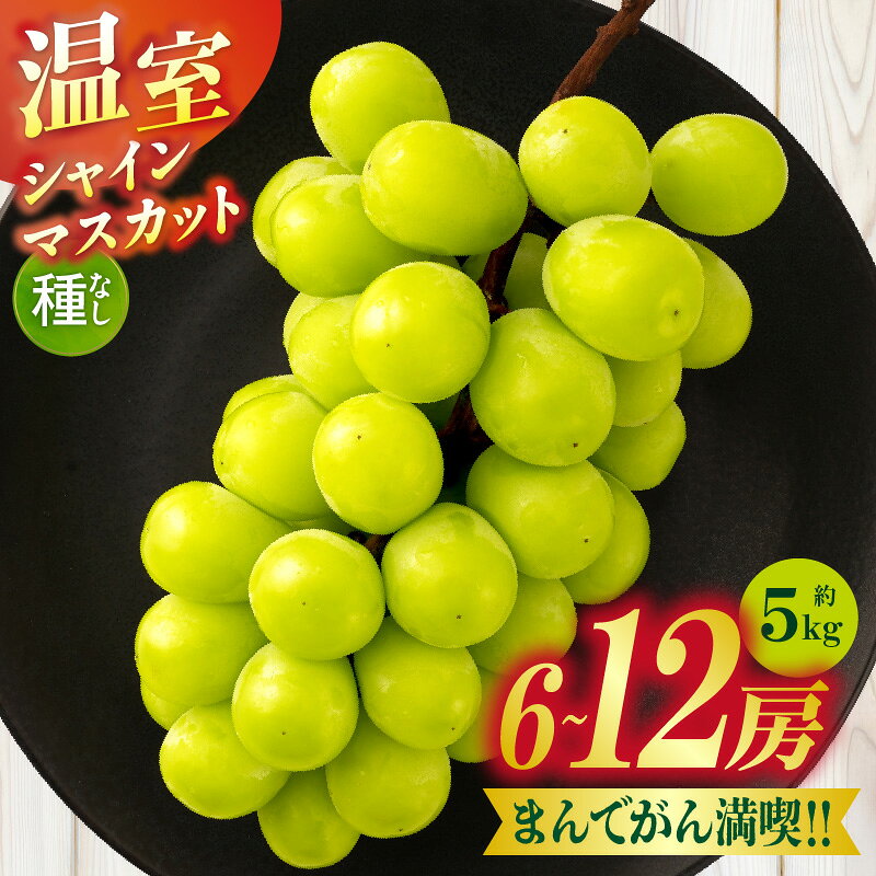 【ふるさと納税】まんでがん満喫!!　温室シャインマスカット　約5kg | シャインマスカット マスカット ぶどう ブドウ 葡萄 果物 フルーツ 新鮮 くだもの 国産 ギフト お裾分け 旬 人気 種なし ジューシー 糖度が高い 季節限定 おすすめ 旬の果物 香川 香川県 三木町