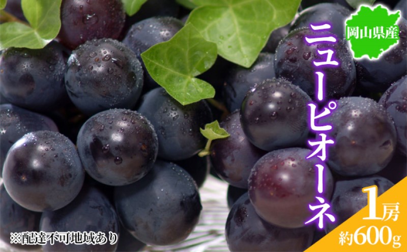 ぶどう 2026年先行予約 ニューピオーネ 1房 約600g 岡山県産 お届け 9月上旬～10月中旬