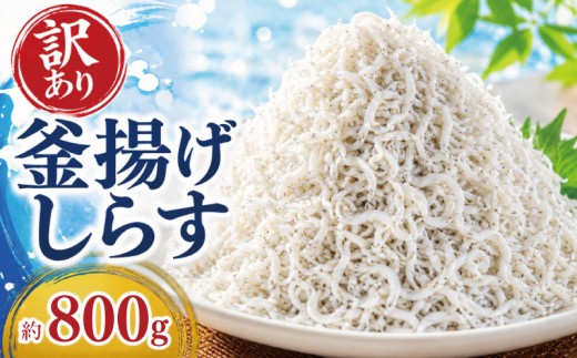 訳あり 釜揚げしらす 約800g 冷凍 惣菜 弁当 晩ごはん 白州 魚介類 海鮮 小魚 魚 鮮魚 グルメ 人気 海の幸 ふりかけ ちりめん しらすご飯 国産 じゃこ しらす丼 塩分控えめ 減塩 離乳食 おにぎり パスタ アレンジ料理 簡単調理 おつまみ おかず 健康 栄養 たんぱく質 カルシウム DHA EPA ビタミン 冷凍食品 解凍方法 保存方法 旨味 無添加 安全 安心 安芸市 高知県