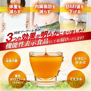 048-10　【定期便6か月】国産プーアール茶　SARYU-SOSO（5g×10ティーバッグ）×6回　＜機能性表示食品＞