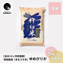 【ふるさと納税】【玄米12ヶ月定期便】特別栽培「きなうす米」ゆめぴりか《5kg×12回・10kg×12回》