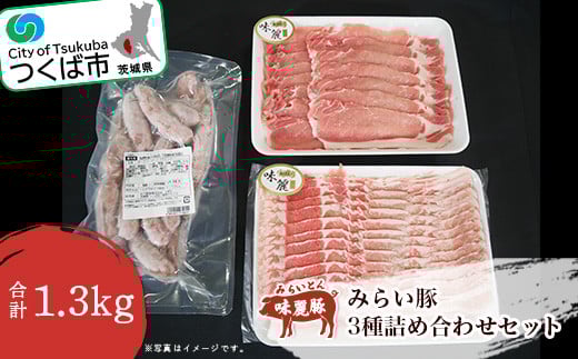 みらい豚 ローススライス バラ薄切り ホワイト粗挽きウインナー 詰合せセット【 豚肉 豚 ぶた肉 詰合せ 豚肉セット ブランド豚 銘柄豚 ポーク 冷凍 茨城県 つくば市 詰め合わせ 】