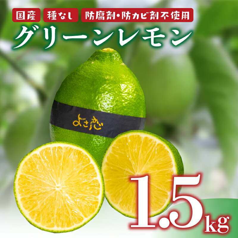 【ふるさと納税】 種無し よさ恋グリーンレモン 10~12個入 約1.5kg以上 家庭用 レモン 防腐剤 不使用 レモン 檸檬 国産 新鮮 国産檸檬 国産レモン 果物 くだもの 希少 高級 健康 フルーツ 産地直送 数量限定 高知県 須崎市 [OF002-xx]