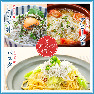 定期便10ヶ月しらす1kg 計10kgしらすしらすしらすしらすしらすしらすしらすしらす