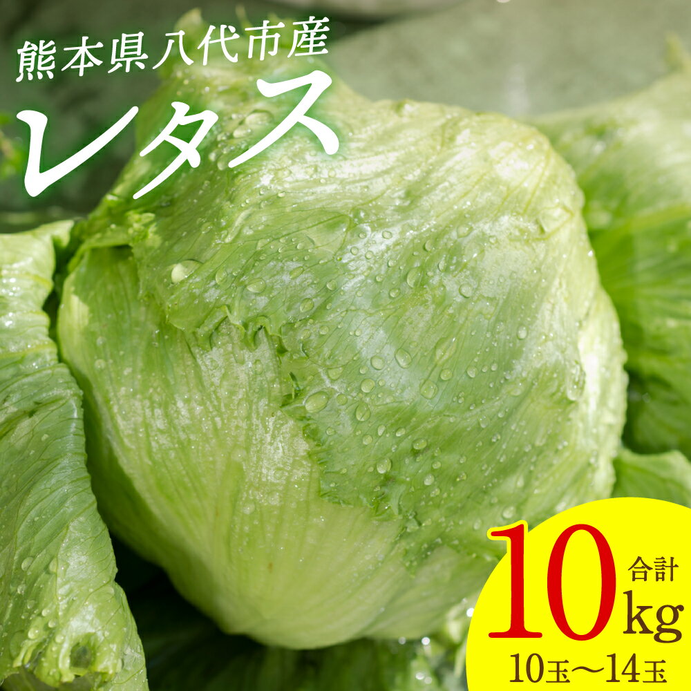 【ふるさと納税】 【先行予約】 レタス 10kg (10玉～14玉) 野菜 葉物 やさい サラダ 付け合せ 新鮮 産地直送 冷蔵 送料無料 【2025年11月中旬より順次発送】