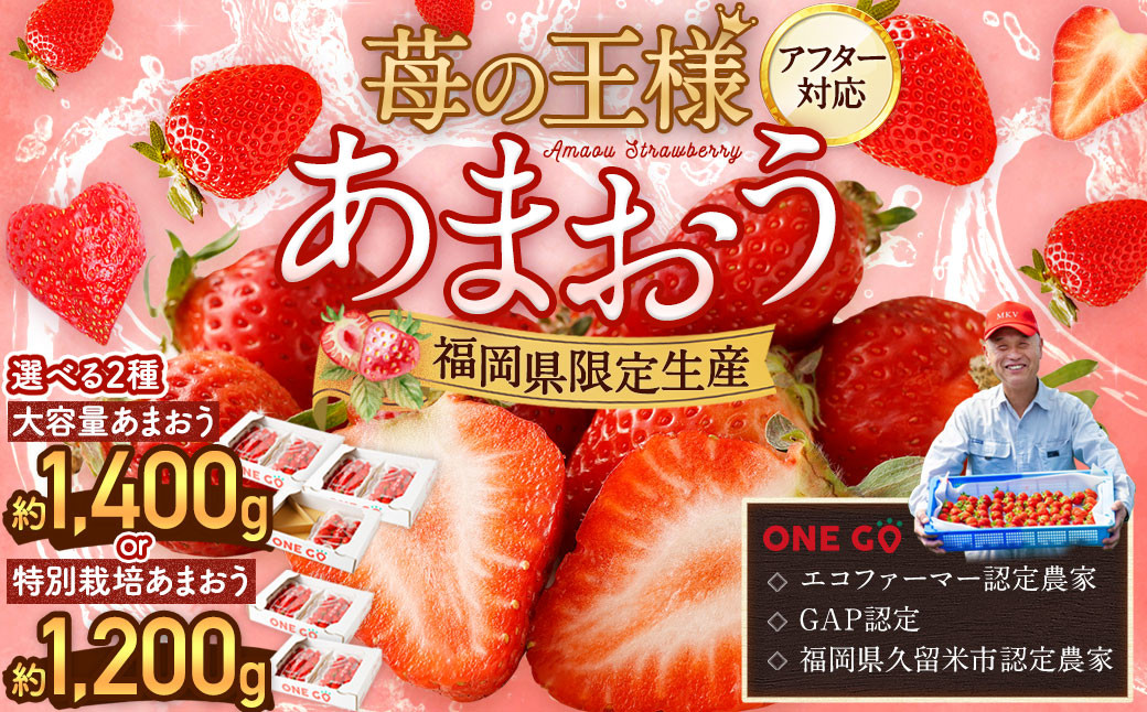 選べる大容量あまおう 1,400g／1,200g 減農薬 いちご イチゴ 苺