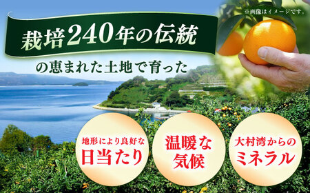 【化粧箱】長与温州みかん12-15玉（2L-3L） 長与/JAじげもん長与直売所[EAF009]