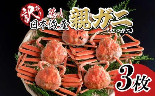 【蒸し】訳あり ご自宅用 親ガニ（セコガニ）3枚 2026年11月～順次発送｜鳥取 岩美 日本海 かに 松葉ガニ ズワイガニ【22067】