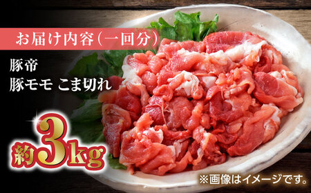 【6回定期便】豚帝 豚モモ こま切れ 切り落とし 3kg（300g×10pc）【KRAZY MEAT(小田畜産)】[ZCP081]