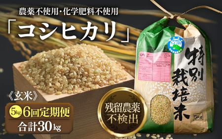 【先行予約】【令和8年産 新米】定期便《6ヶ月連続お届け》コシヒカリ 玄米 5kg × 6回（計30kg）特別栽培米 農薬不使用 化学肥料不使用 ／ 残留農薬ゼロ 高品質 鮮度抜群 福井県産 ブランド米 ※2026年10月上旬以降順次発送 [aw063-i002]