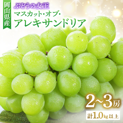 ◆先行受付◆　岡山県産　秋のマスカット・オブ・アレキサンドリア　2026年発送【配送不可地域：離島・北海道・沖縄】【1350317】