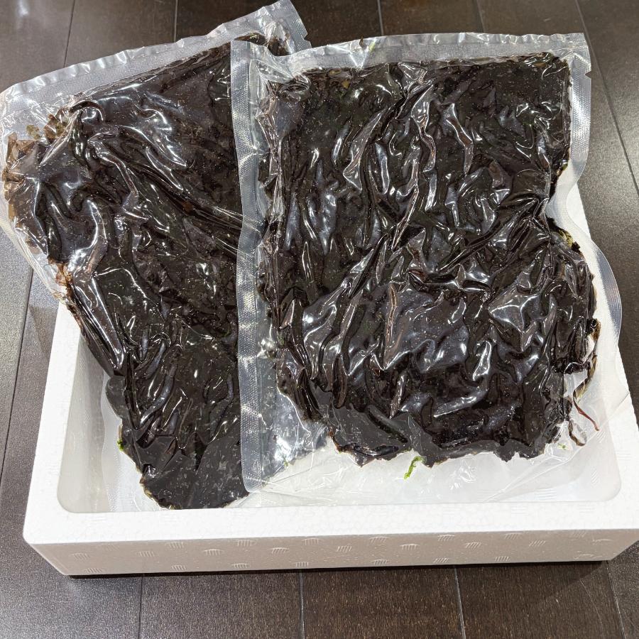 ＜岬水産＞愛知県師崎産「生海苔」500gx2袋（1kg）