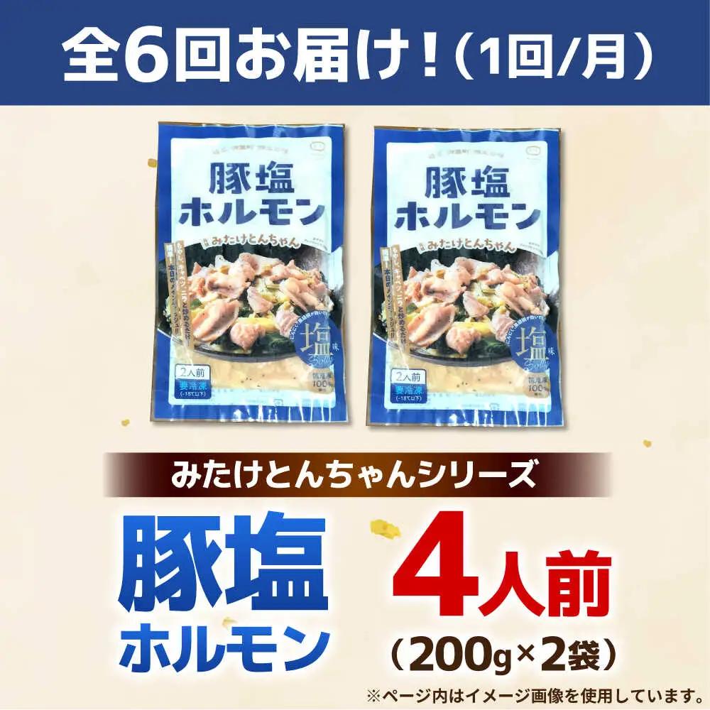 【6回定期便】岐阜県産豚もつの鉄板焼き「元祖みたけとんちゃん」豚塩味（4人前）[AVAA059]豚ホルモン 定期