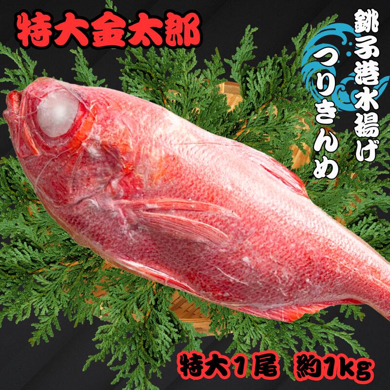 【ふるさと納税】 銚子釣り金目 特大金太郎 約1kg 金目鯛 銚子 新鮮 銚子港水揚げ 瞬間冷凍 つりきんめ キンメ 釣り きんめ キンメダイ きんめだい おさしみ 刺し身 煮つけ 海鮮料理 千葉県 銚子市