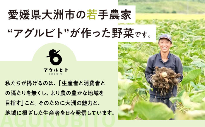 【全6回定期便】毎回ちがう旬の農産物定期便