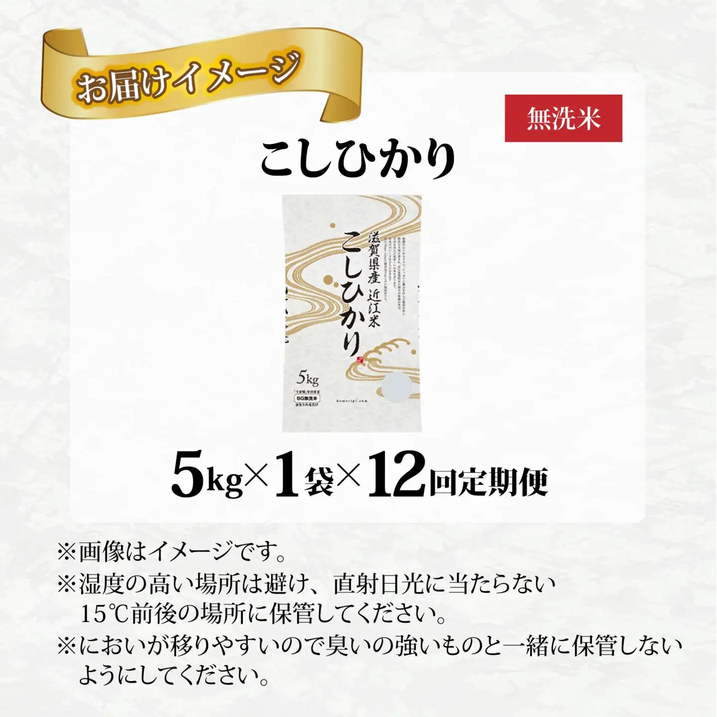 【先行予約】【令和8年産新米早期予約 毎月定期配送・計12回】 BG無洗米 こしひかり 5kg×12回 [P-00406] / こしひかり