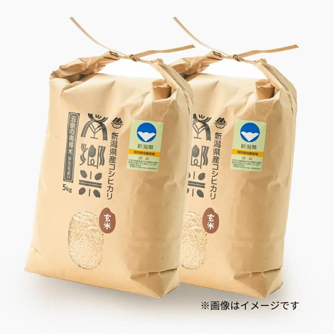 令和8年産米【隔月3回定期便】特別栽培コシヒカリ 玄米10kg（5kg×2袋） | コシヒカリ 玄米 米 新潟県産 五泉市 特別栽培米 新米