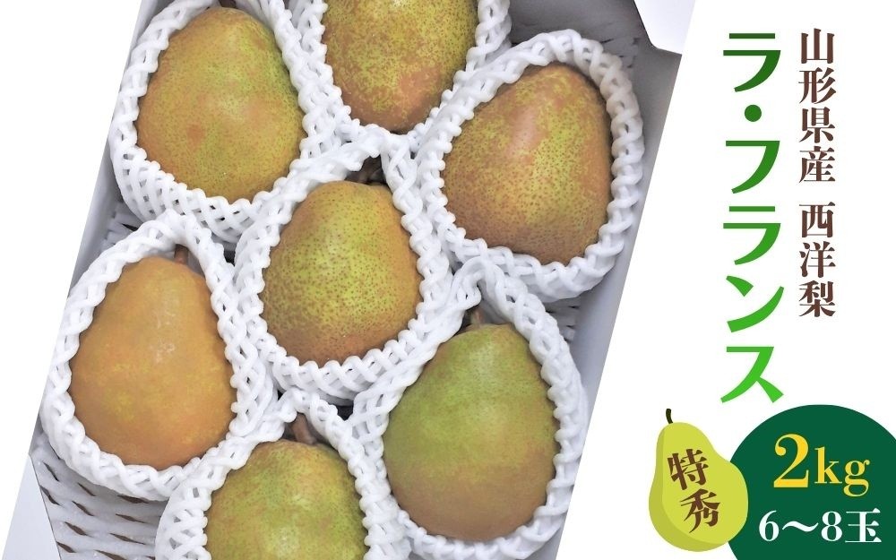 
                  西洋梨（ラ・フランス）２ｋｇ　特秀品　0056-2618
                