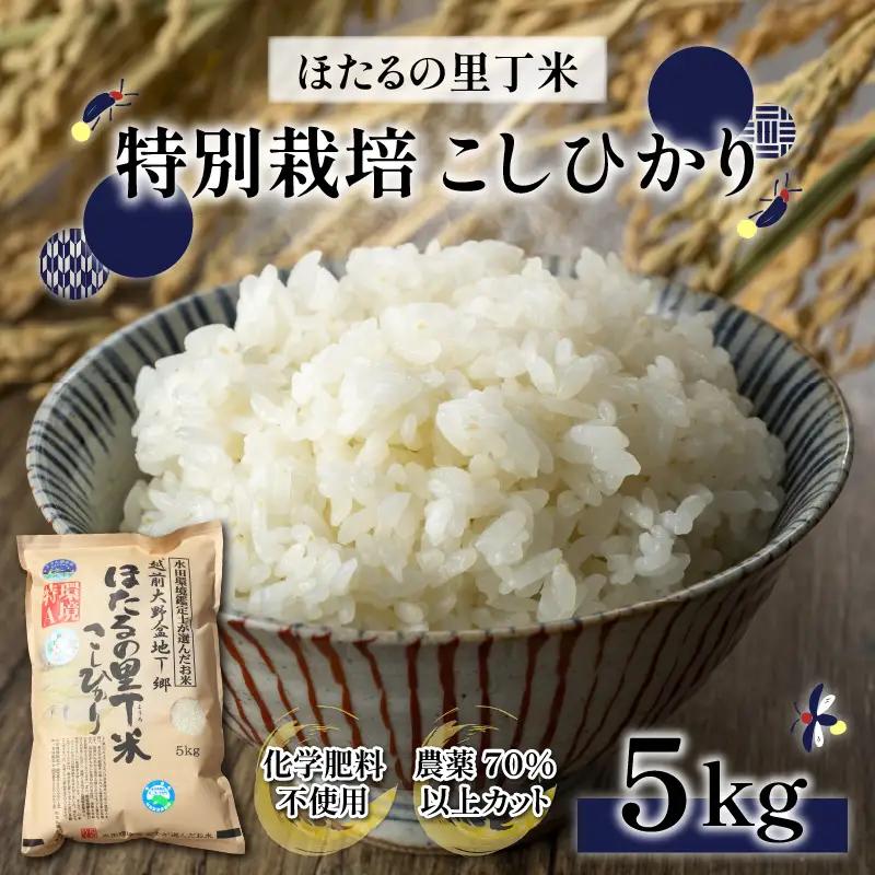 【令和8年産 新米 先行予約】特別栽培こしひかり 5kg ※2026年10月順次発送予定【A-002004】