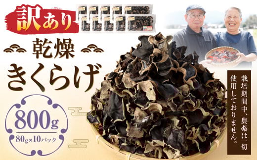 【訳あり】乾燥きくらげ 800g （80g×10パック） 熊本県 乾燥 きくらげ キクラゲ 木耳 きのこ キノコ 国産 人吉市産
