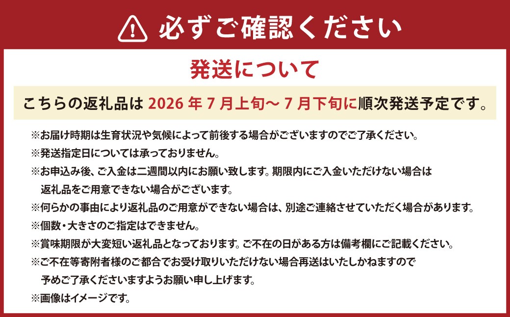 キングメルティー メロン 大玉 1玉 約2kg～2.5kg