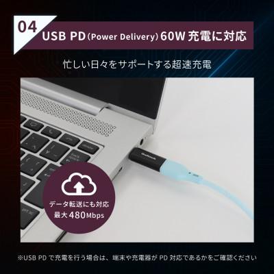 ふるさと納税 海老名市 マグネットで簡単ワンタッチ接続 USB Type-C 変換アダプタ+追加コネクタ2個セット |  | 02