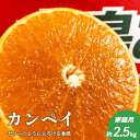 【ふるさと納税】 【2月上旬頃より発送】 甘平 約 2.5kg 【家庭用】 カンペイ みかん 柑橘 果物 フルーツ 松山市 愛媛県