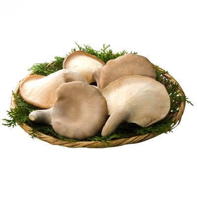 ふるさと納税 竜王町 滋賀県竜王町産ヘルシーきのこ「足太あわび茸」の山椒煮と昆布煮の【佃煮3袋セット】箱入り |  | 01