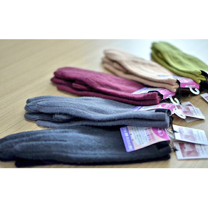 【ふるさと納税】レディース　手袋（指で～る） ファッション 小物