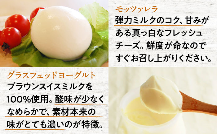 【全12回定期便】三良坂フロマージュ 朝のフレッシュセット チーズ ヨーグルト 詰め合わせ デザート 乳製品 受賞 広島県産 三次市/三良坂フロマージュ [APAV013]