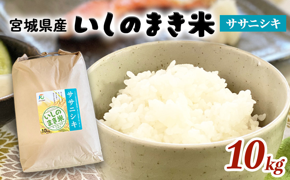 
                  宮城県 いしのまき産米「ササニシキ」（精米）10kg 石巻市 いしのまき米 白米 お米 ごはん 米10キロ JA 農協
                
