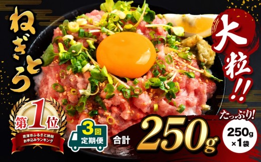 【 定期便 3ヶ月 】【 簡易包装 】ネギトロ 250g パック × １袋 まぐろ ねぎとろ スピード発送 選べる ねぎとろ 小分け 手詰め | 清幸丸水産 マグロ たたき タタキ 鮪 海鮮 ユッケ 海鮮丼 冷凍 手巻き 高評価 送料無料 千葉県 君津 きみつ