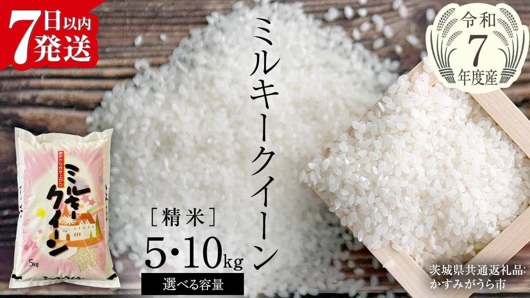 
            【令和7年産】 ミルキークイーン 精米 5kg 10kg（茨城県共通返礼品 かすみがうら市産） 新米 米 ごはん もっちり 甘い コメ お米 白米 銘柄米 [EX015sa00]
          