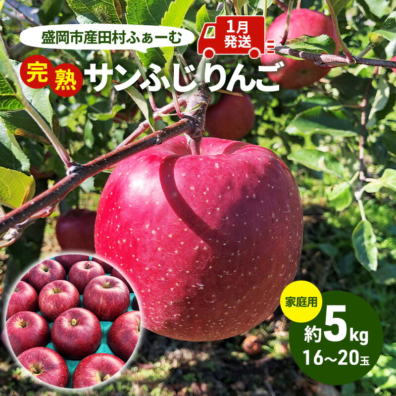 【ふるさと納税】先行予約【1月発送】盛岡市産 田村ふぁーむ 家庭用 完熟 サンふじ りんご 約5kg（16～20玉） 果物類 フルーツ デザート 果汁 甘い 酸味 バランス 　お届け：2026年1月9日～2026年1月31日