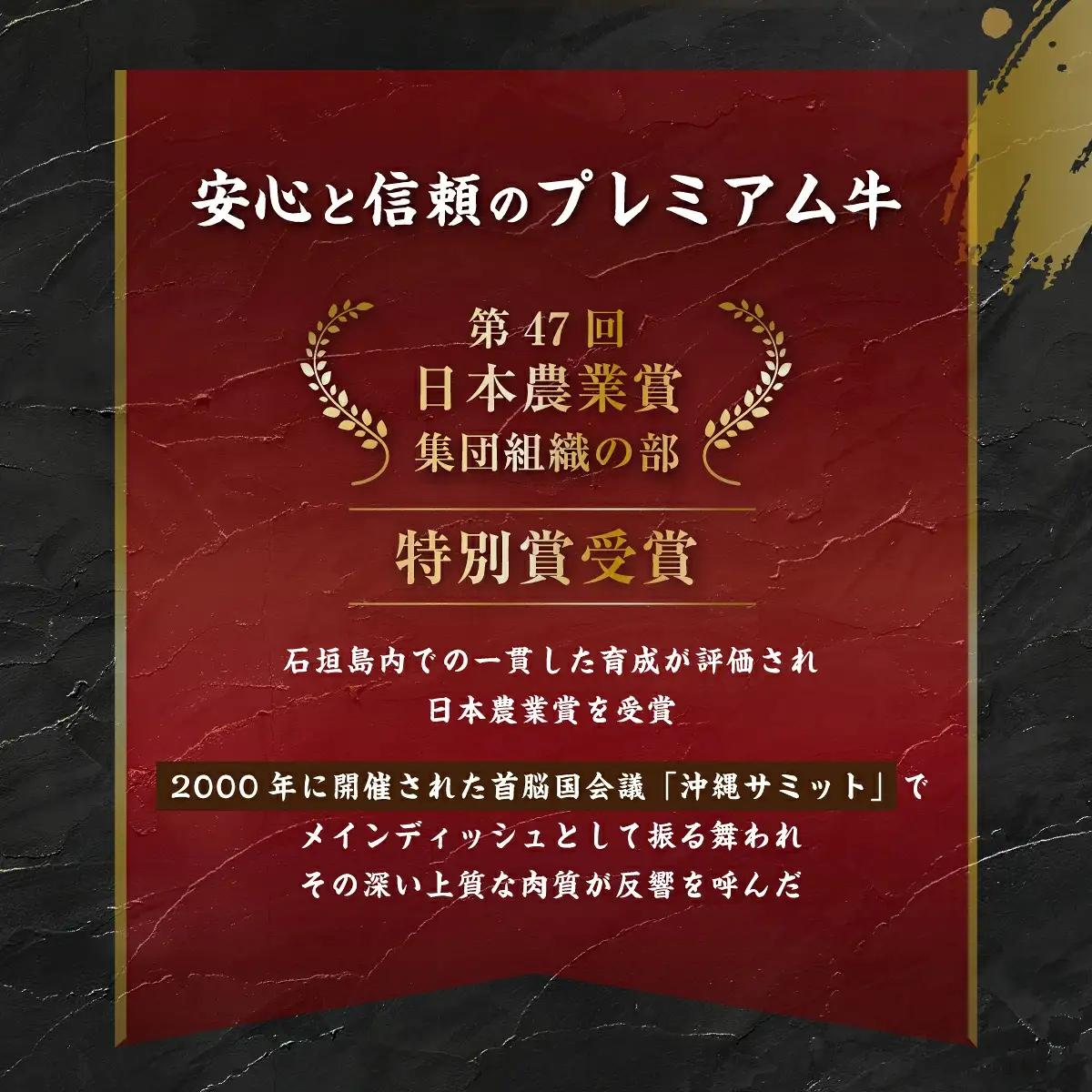 石垣牛 ハンバーグ セット (100g×10個)＜2027年5月発送＞