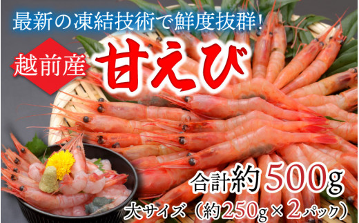 
【越前産】【小分け】冷凍甘えび大サイズ 約250g × 2パック 合計約500g（30尾～40尾） [A-11009]
